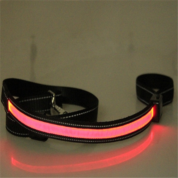 Fluorescent Dog Collar For Nighttime Visibility