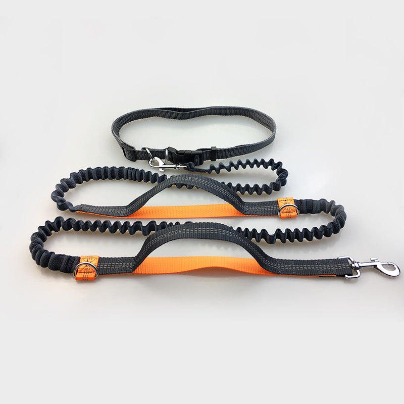 Reflective Double Elastic Dog Leash For Running And Training