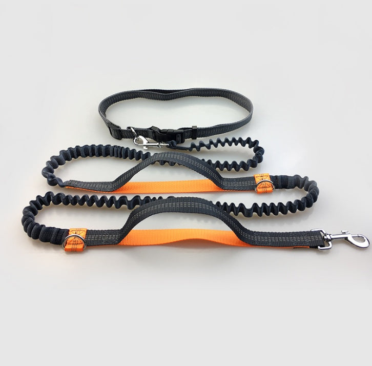 Reflective Double Elastic Dog Leash For Running And Training