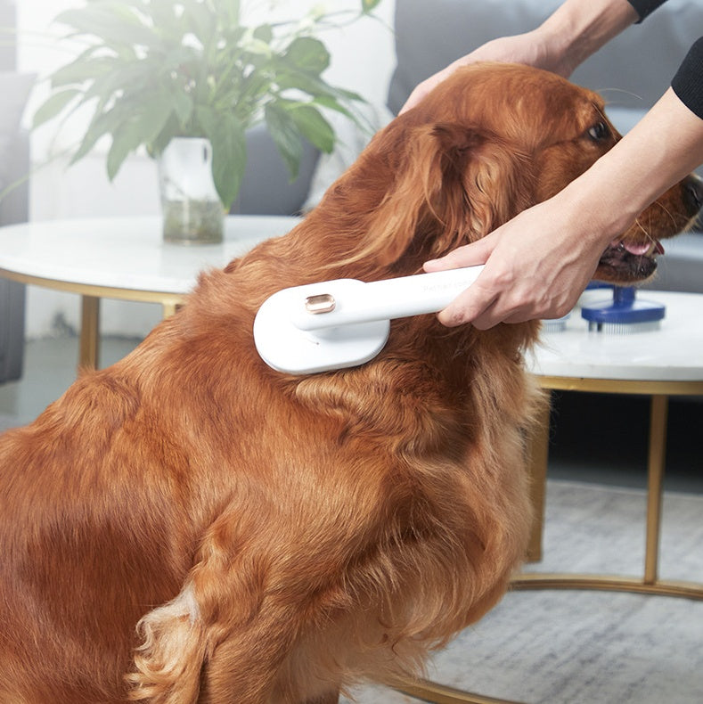 Self Cleaning Pet Comb For Hair Removal And Grooming