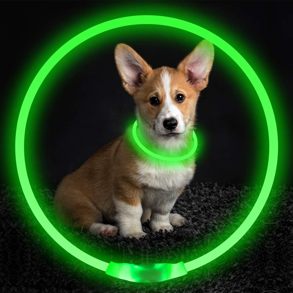 USB Rechargeable Flashing Pet Collar For Night Safety