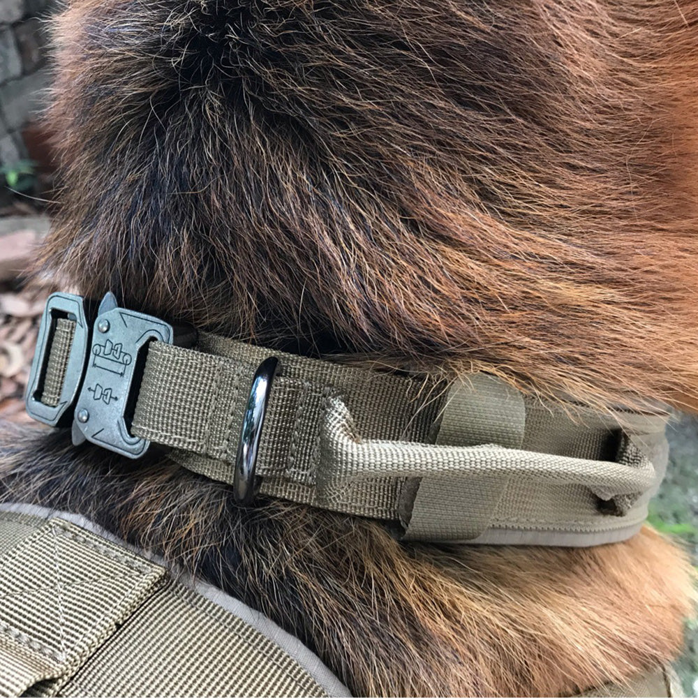 Durable Adjustable Dog Collar For Everyday Comfort