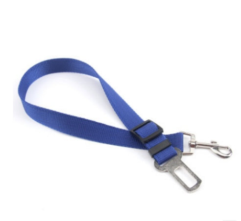 Durable Polyester Dog Leash With Fixed Strap For Daily Walks-70cm-Theone Apparel