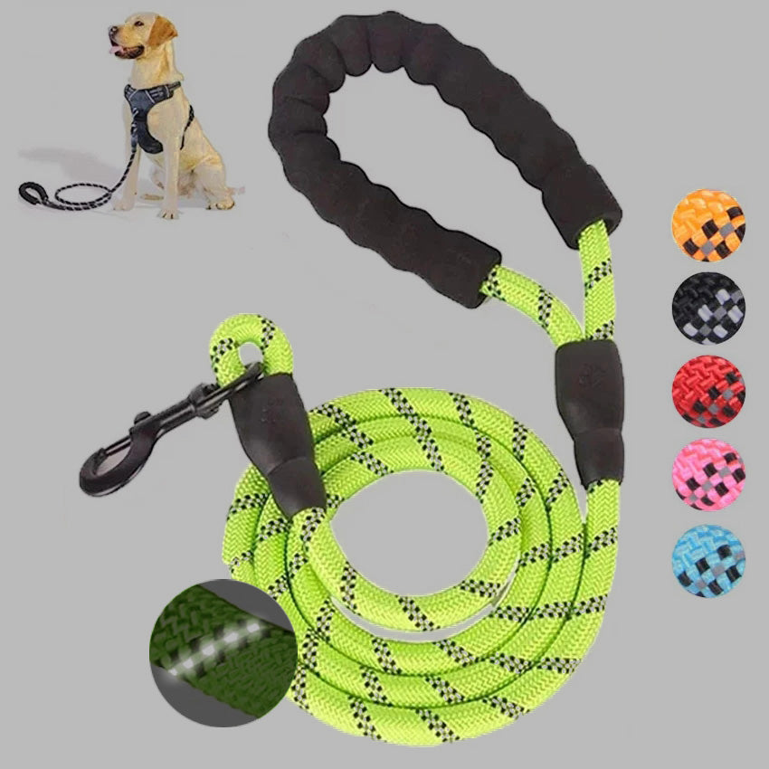 Luminous Dog Leash Chain For Small And Medium Breeds