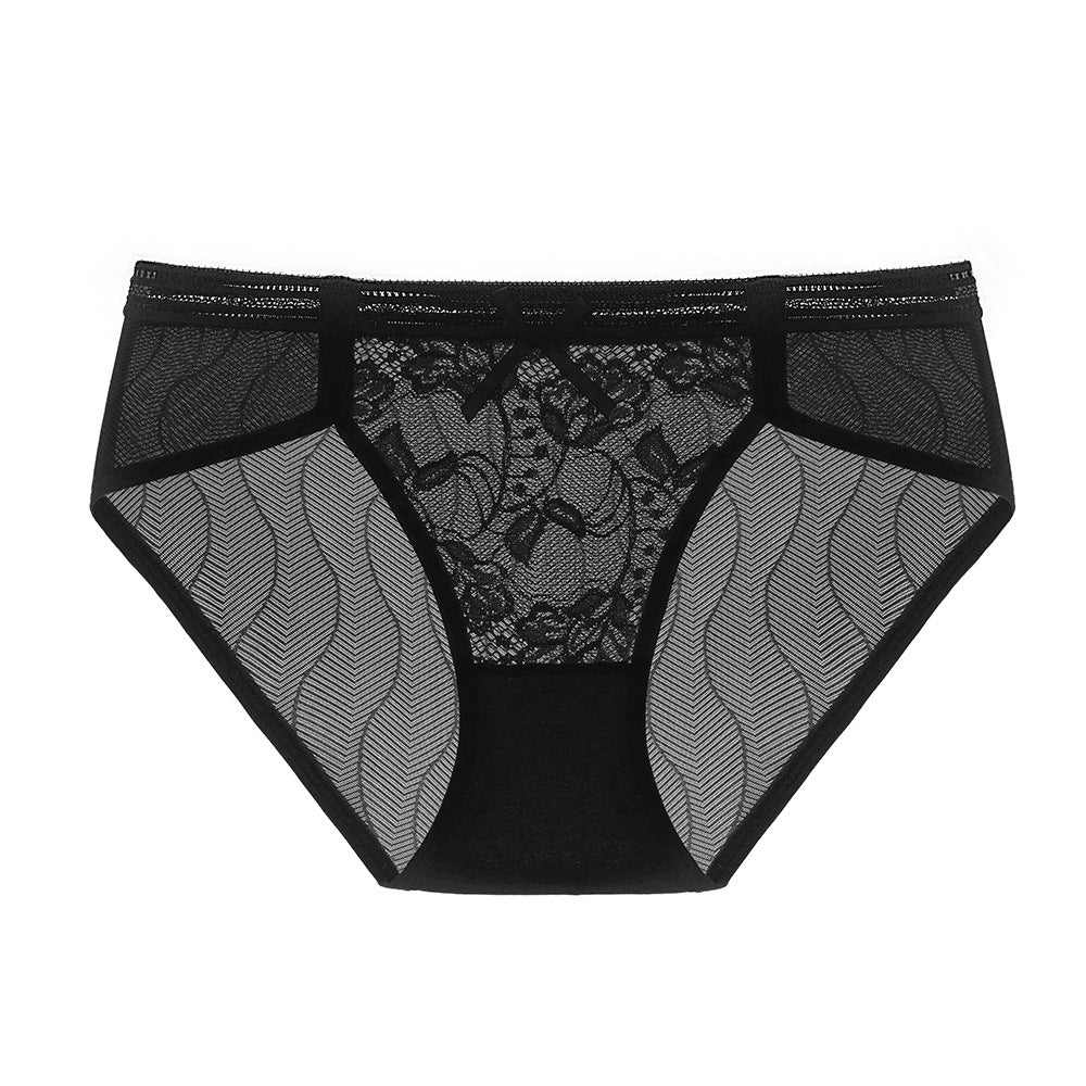 Low Rise Transparent Lace and Mesh Briefs