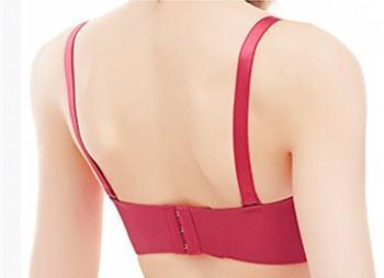 Corseted Ribbon Front Pushup Bra - Theone Apparel