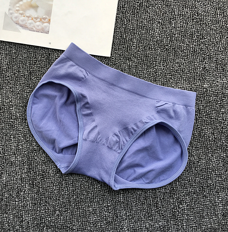 High Waisted Elastic Waistband Full Coverage Briefs-Purple-Theone Apparel