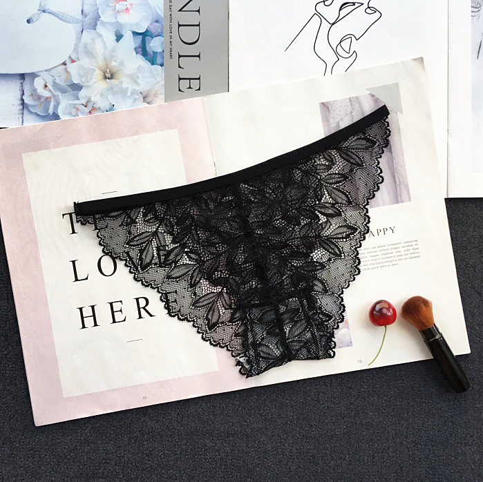 Semi See Through Lace Briefs Panties-Black-Theone Apparel