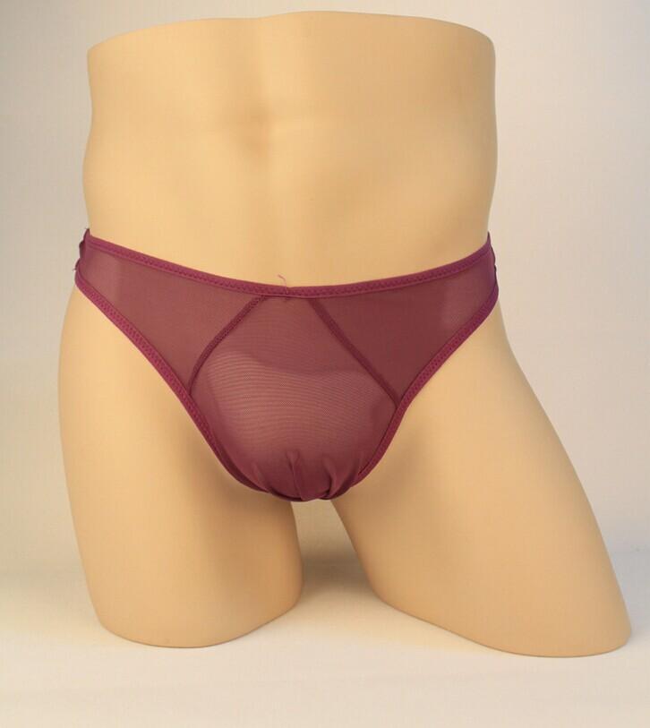 Sheer Mesh Men's Brief Underwear